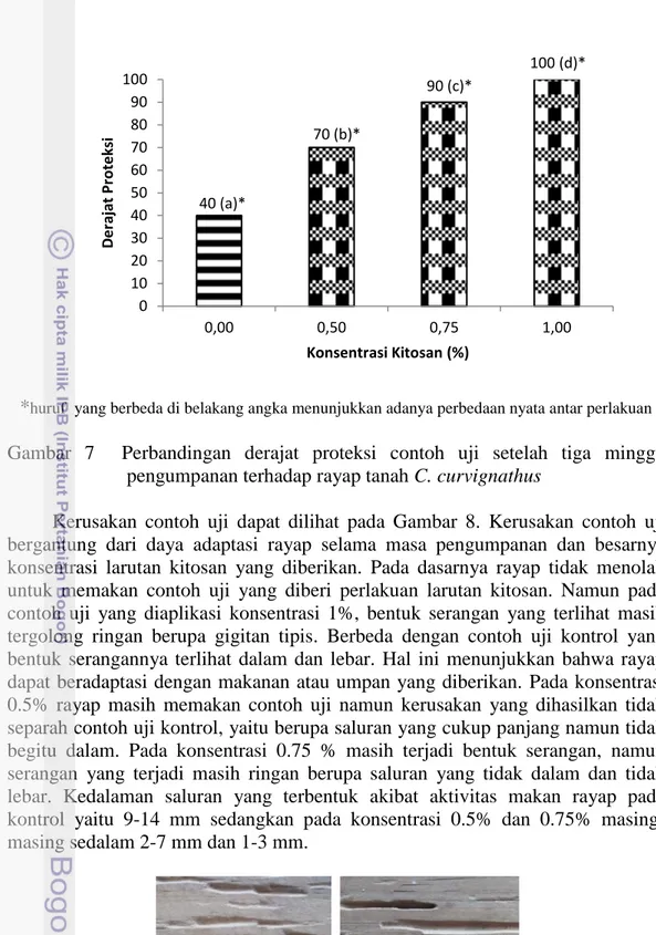 Gambar  7    Perbandingan  derajat  proteksi  contoh  uji  setelah  tiga  minggu  pengumpanan terhadap rayap tanah C