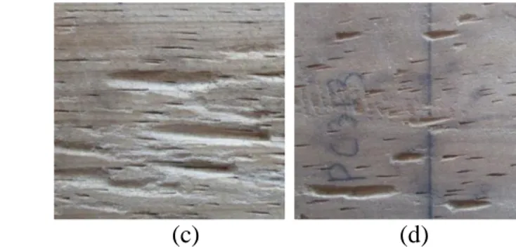 Gambar 8  Kerusakan contoh uji pada setiap konsentrasi larutan kitosan setelah  tiga minggu pengumpanan terhadap rayap tanah C