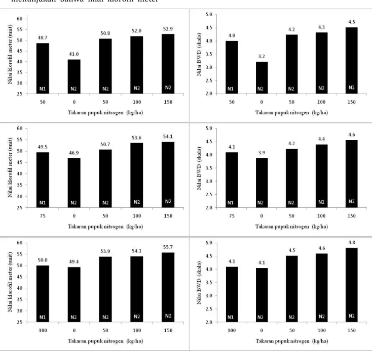 Gambar 4.   Nilai klorofil meter dan bagan warna daun (BWD) pada tingkat takaran pupuk nitrogen  pada pemupukan pertama (N1) dan Pemupukan kedua (N2) 