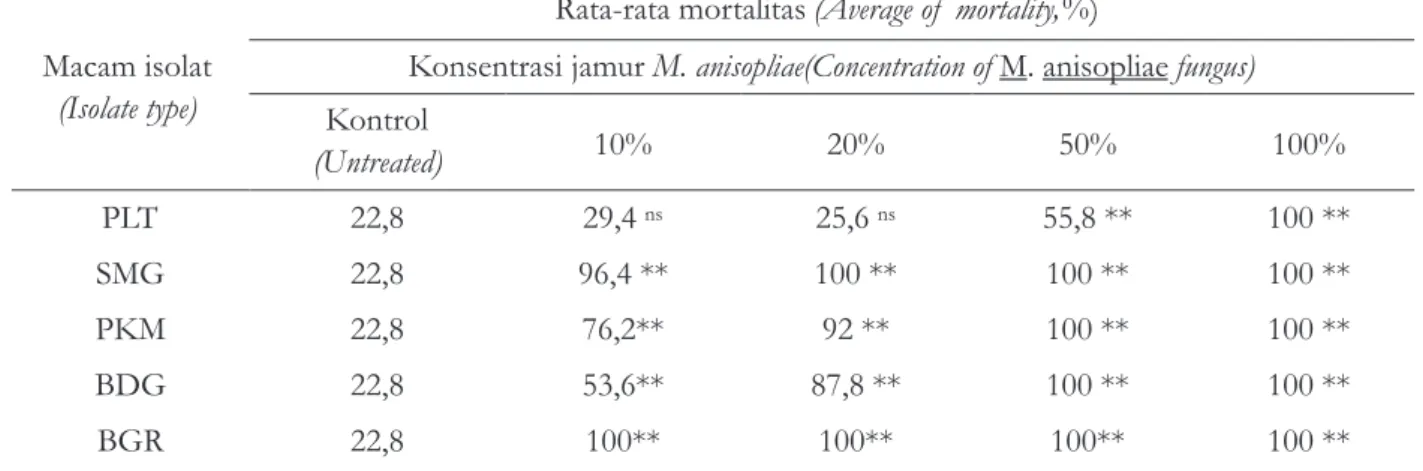 Tabel . Rata-rata mortalitas rayap tanah   3   C. curvignathus  pada berbagai isolat dan konsentrasi  jamur  M