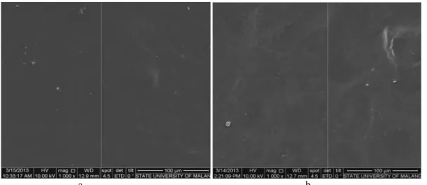 Gambar    2.    Hasil  analisa  Scanning  Electron  Microscopy  (SEM)  permukaan  konsentrasi ekstrak bawang 0% (b)