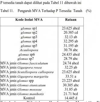 Tabel 11.    Pengaruh MVA Terhadap P Tersedia  Tanah    (%)  