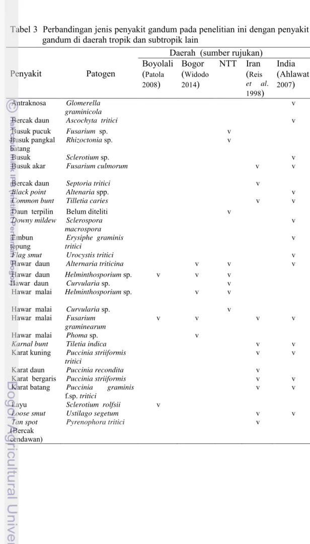 Tabel 3  Perbandingan jenis penyakit gandum pada penelitian ini dengan penyakit  gandum di daerah tropik dan subtropik lain 