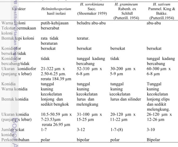 Tabel 6  Karakteristik Helminthosporium  sp. asal gandum di Timor Tengah Utara dan  Helminthosporium  yang telah diketahui spesiesnya  