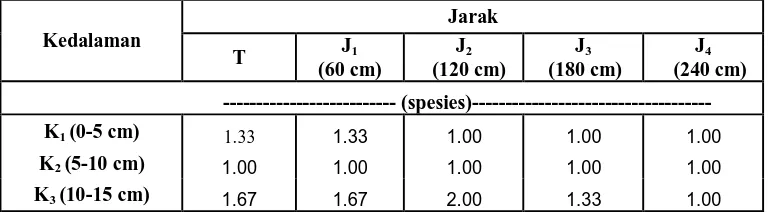 Tabel 7. Rataan Jenis Makrofauna Tanah  Berdasarkan Jarak dari Parit Aplikasi dan Kedalaman Tanah  