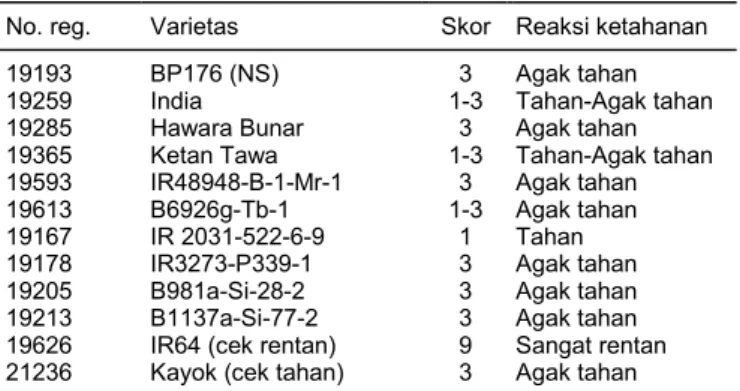 Tabel 7. Plasma nutfah padi yang bereaksi tahan-agak tahan  terhadap penyakit blas leher di Sukabumi, 2004