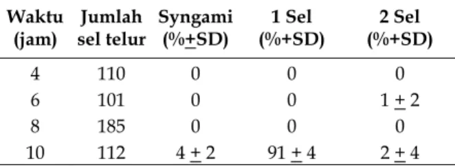 Tabel 3. Syngami – dua sel. 