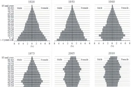 Gambar 1Tren Populasi Piramid Jepang 1920-2010 
