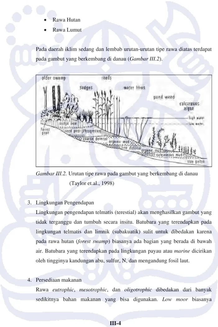 Gambar III.2. Urutan tipe rawa pada gambut yang berkembang di danau                                      (Taylor et.al., 1998) 