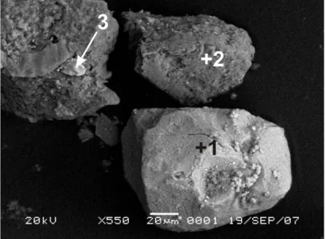 Gambar IV.2 Citra BSE dengan perbesaran 550 kali dan hasil analisa EDS  (lampiran 1) yang menunjukan area 1 dan 3 memiliki kandungan oksida besi yang  tinggi (permukaan yang berwarna terang)