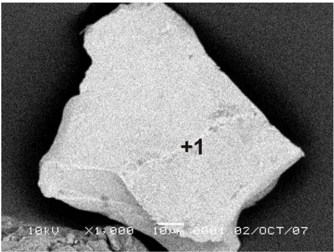 Gambar IV.3 Citra BSE dari hasil ekstraksi magnetik untuk oksida besi yang  diidentifikasi sebagai Fe-TiO, dengan morphology berupa cluster besar oksida  besi