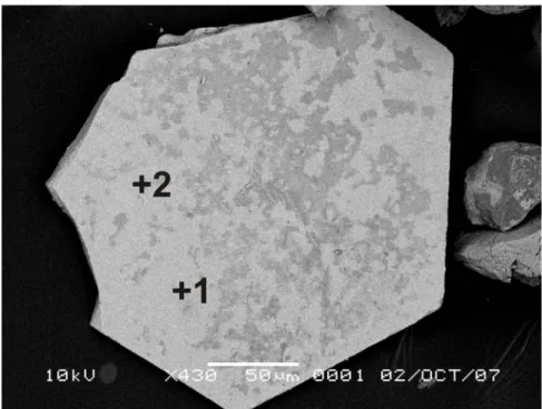 Gambar IV.10 Citra BSE dari hasil ekstraksi magnetik untuk sulfida besi yang  diidentifikasi sebagai pyrrhotite (1 dan 2), dengan morphology hexagonal, analisis  EDS (lampiran 2) memperlihatkan bahwa sulfida besi ini memiliki komposisi  monoclinic pyrrhoti