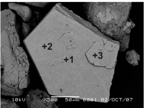 Gambar IV.11 Citra BSE dari hasil ekstraksi magnetik untuk sulfida besi yang  diidentifikasi sebagai pyrrhotite (1, 2 dan 3), dengan morphology menyerupai  hexagonal, analisis EDS (lampiran 2) memperlihatkan bahwa sulfida besi ini  memiliki komposisi hexag