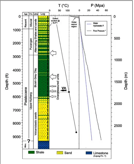 Gambar II.2 Urutan Stratigrafi Sidoadarjo disekitar BJP I, sekitar 200 m dari  lokasi tempat terjadinya erupsi lumpur (Mazzini et al., 2007)