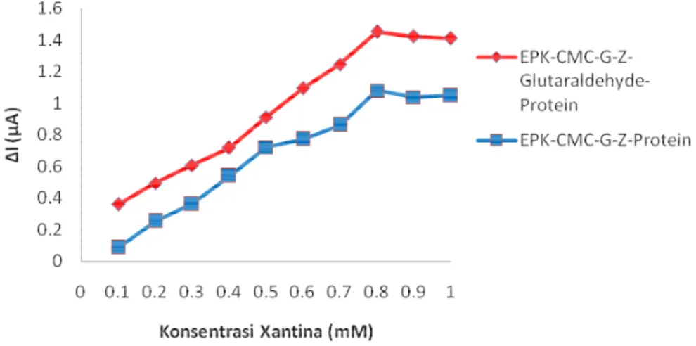 Gambar 7Hubungan aktivitas ekstrak protein dengan konsentrasi xantina 