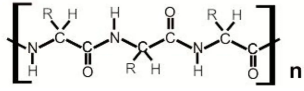 Gambar 3. Struktur Makromolekul Kasein 