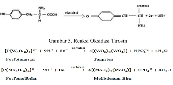 Gambar 5. Reaksi Oksidasi Tirosin 