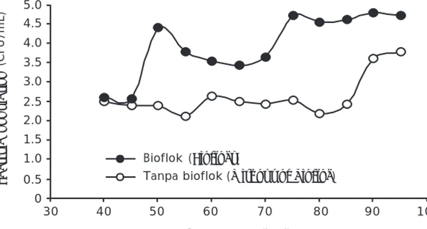 Figure 4. Plankton abundance in intensive vannamei culture with biofloc system