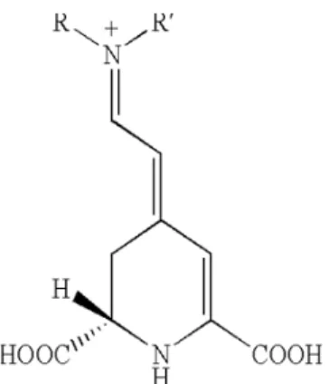 Gambar 1. Struktur kimia senyawa betalain (SCI, 2015) 