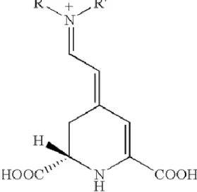 Gambar 1. Struktur Kimia Senyawa Betalain (SCI, 2015)                                                      