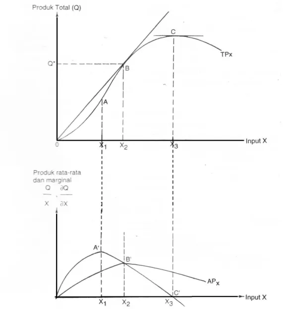 Gambar 3 Hubungan antara faktor produksi X dengan jumlah produksi Y               Sumber: Suratiyah (2011) 