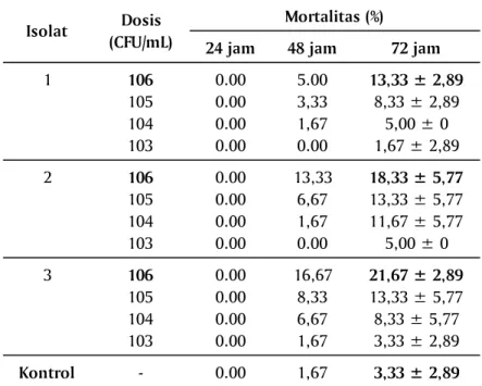 Tabel 2. Patogenisitas tiga isolat vibrio terhadap yuwana abalon, Haliotis squamata