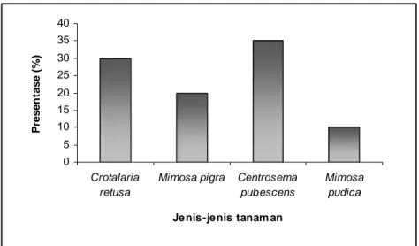 Gambar 2.  Persentase  ketertarikan  Scaeva pyrastri terhadap tanaman familia  Mimosaceae dan Papilionaceae