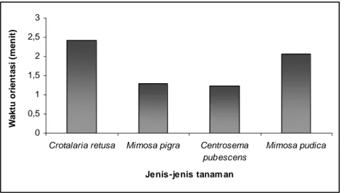 Gambar 3.  Waktu rata-rata orientasi Scaeva pyrastri terhadap tanaman familia  Mimosaceae dan Papilionaceae