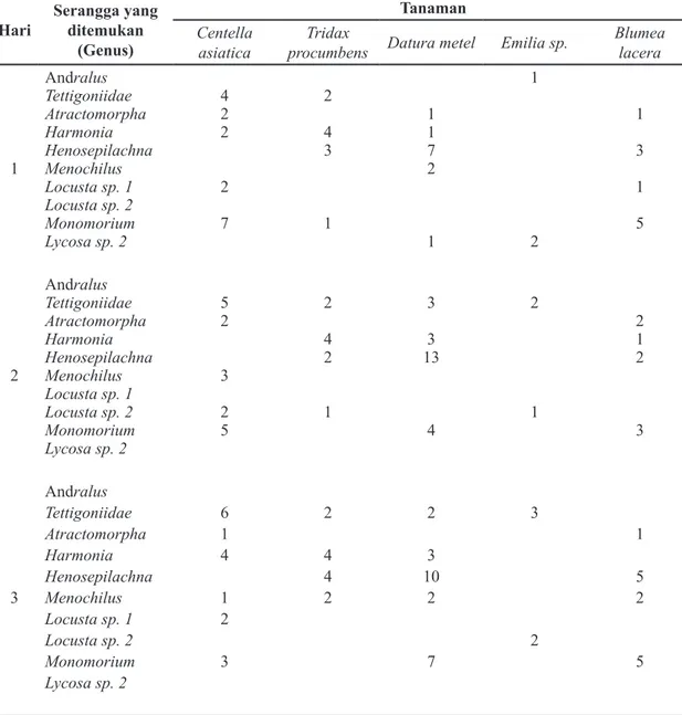 Tabel 1. Hasil Pengamatan Serangga yang Ditemukan pada Beberapa Tumbuhan Liar Hari Serangga yang 