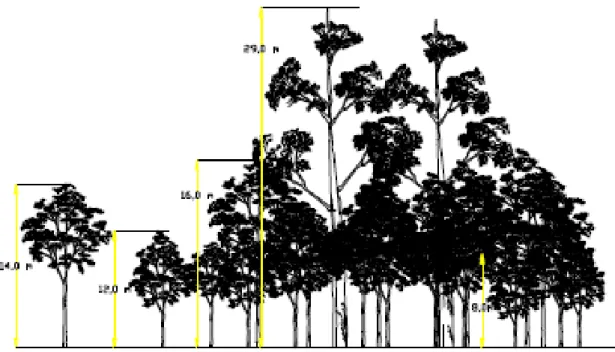 Gambar 2. Struktur Tegakan Vertikal (Diagram Profil) di Danau Tanjung Putus   Dari  Gambar  2,  struktur  tegakan 