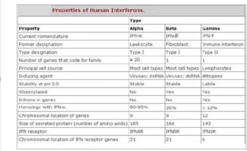 Tabel 1 Tipe dan Karakteristik human Interferon 