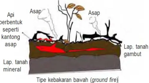 Gambar  I.1 Ilustrasi  tipe  kebakaran  bawah  (Adinugroho.  dkk, 2004) 