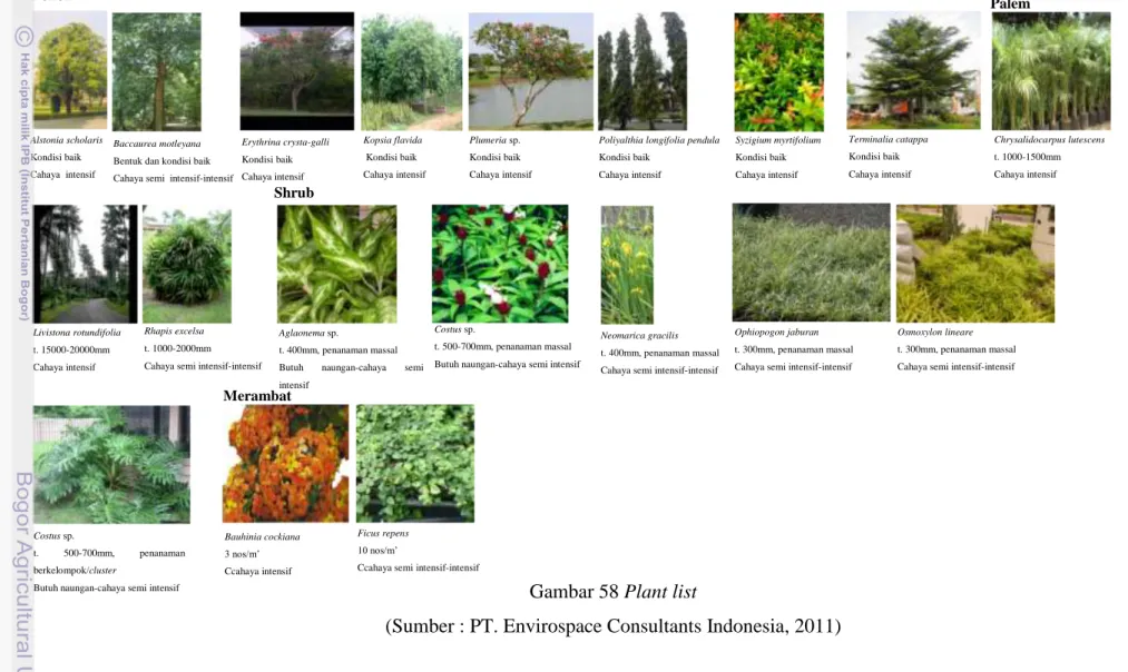 Gambar 58 Plant list 