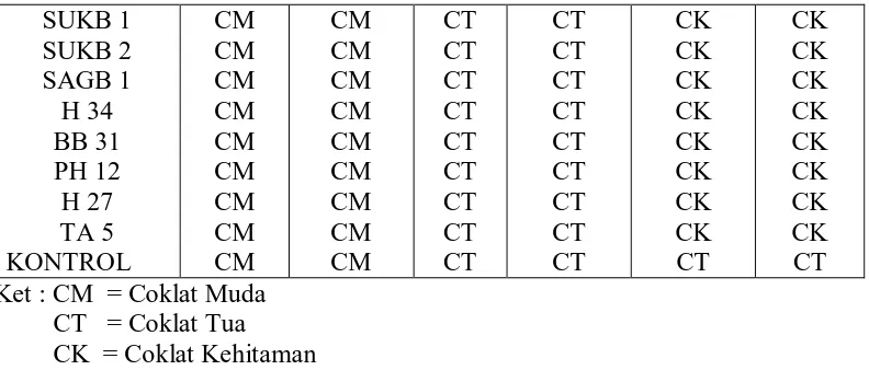 Tabel 10. Hasil Perubahan Bau Kayu dari Berbagai Mikroorganisme Selulolitik yang Diisolasi dari Kayu dan Tanah Gambut