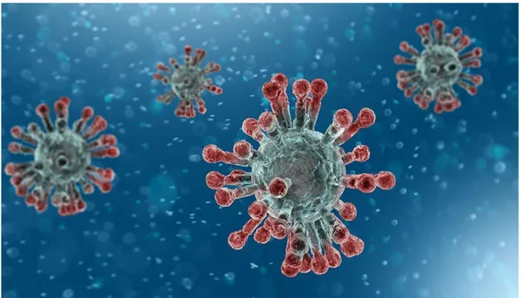 Gambar 2. Gambar Ilustrasi Struktur dan Bentuk Virus Corona  (https://nationalgeographic.grid.id/read/132047744) 