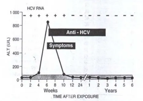 Gambar 1. Petanda serologis pada Hepatitis C Akut  ( Patrick Marcellin, l999 ) 