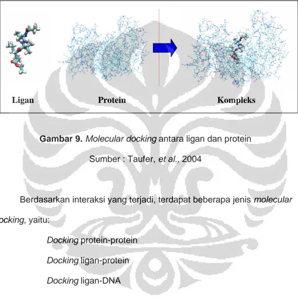 Gambar 9. Molecular docking antara ligan dan protein  Sumber : Taufer, et al., 2004 