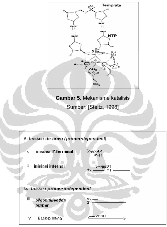 Gambar 5. Mekanisme katalisis  Sumber: [Steitz, 1998] 
