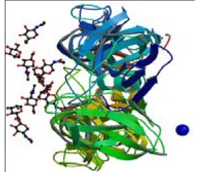 Gambar  1.  Struktur  3D  Protein  Envelope  DENV-2 dengan kode PDB 1OAN