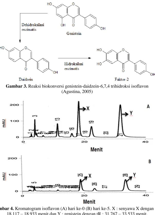 Gambar 3. Reaksi biokonversi genistein-daidzein-6,7,4 trihidroksi isoflavon        (Agustina, 2005) 