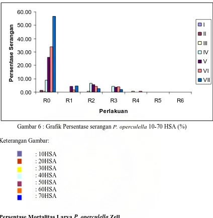 Gambar 6 : Grafik Persentase serangan P. operculella 10-70 HSA (%) 
