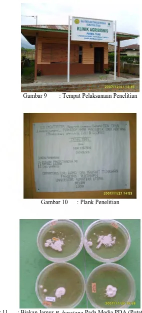 Gambar 9 : Tempat Pelaksanaan Penelitian  