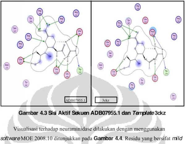 Gambar 4.4 Visualisasi Neuraminidase H5N1 (M OE 2008.10) 