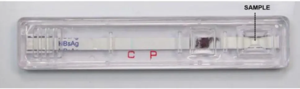 Gambar 9. Rapid Test (Sumber: www.vistadx.net)
