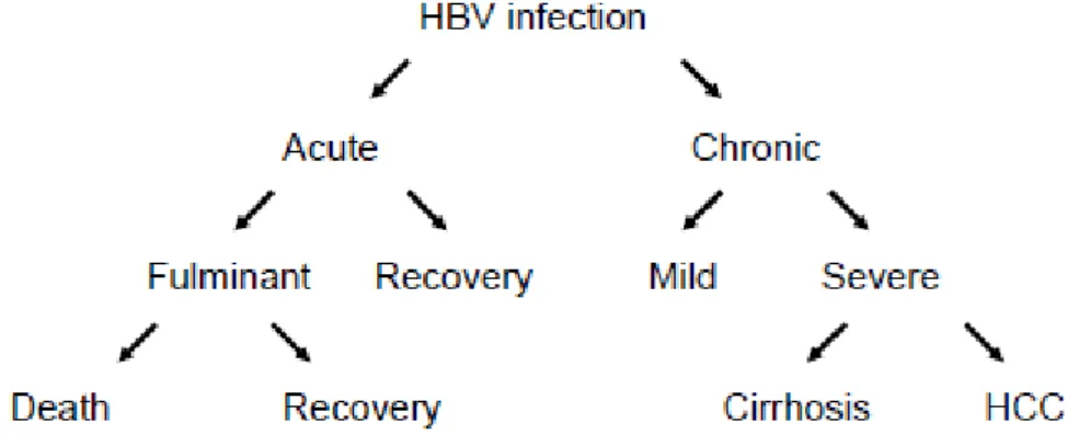 Gambar 6. Infeksi hepatitis B (Sumber: WHO, 2002) 
