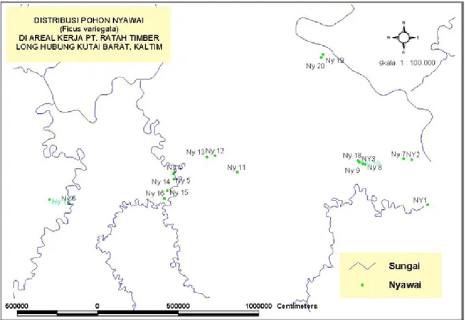 Gambar 4.  Peta lokasi pohon induk nyawai di Long Hubung, Kutai Barat
