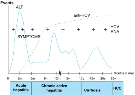 Gambar 2.6 Gambaran  klinis dan serologi pada infeksi HCV 