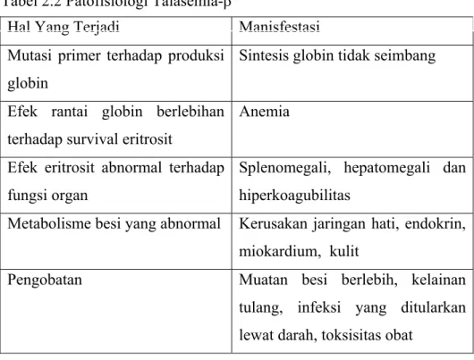 Tabel 2.2 Patofisiologi Talasemia-β 