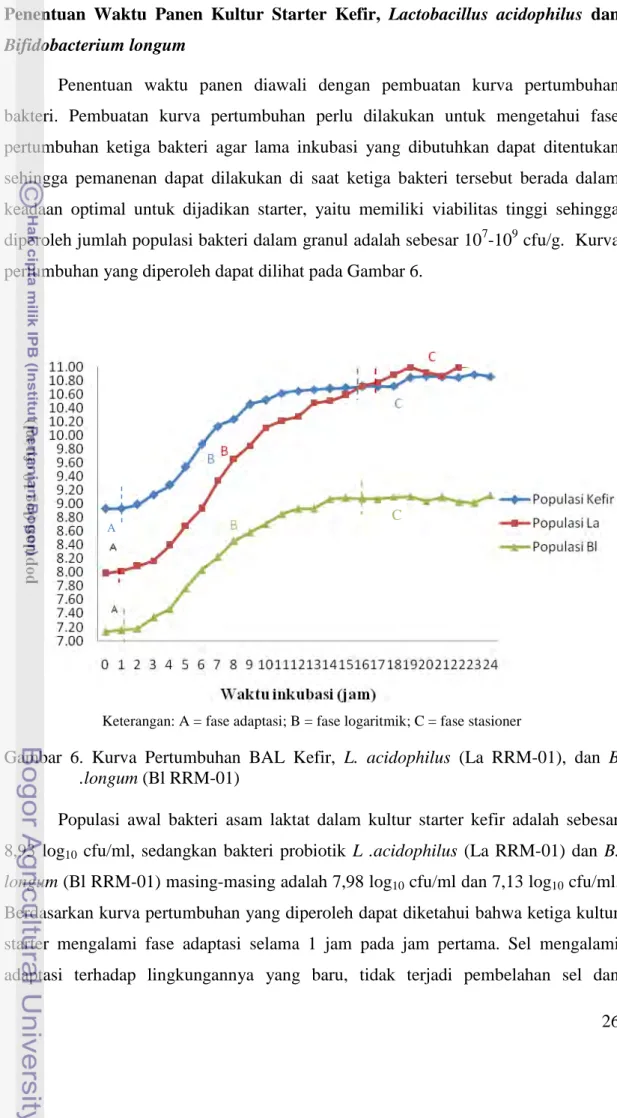 Gambar  6.  Kurva  Pertumbuhan  BAL  Kefir,  L.  acidophilus  (La  RRM-01),  dan  B  .longum (Bl RRM-01) 