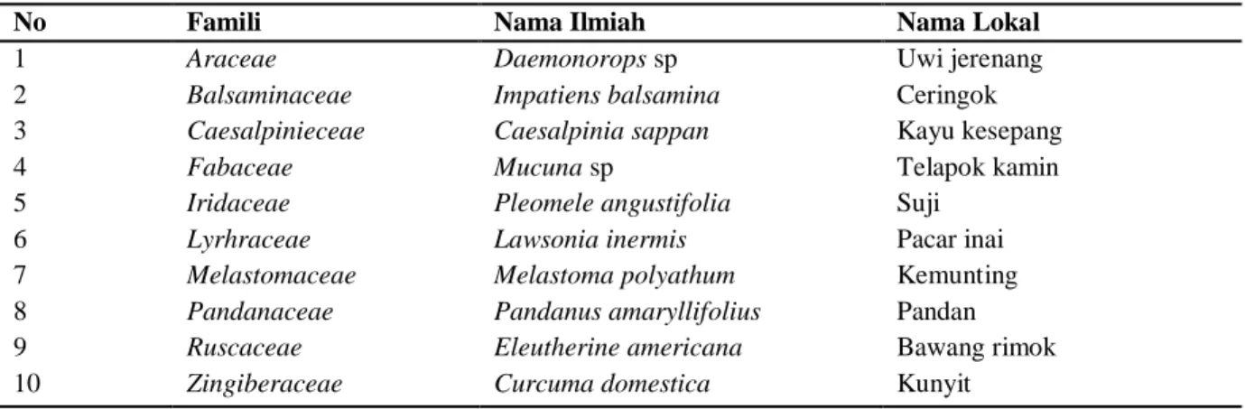 Tabel 1  Jenis Tumbuhan Yang Digunakan sebagai bahan pewarna alami berdasarkan famili oleh Suku Dayak Randu di  Desa Suka Damai